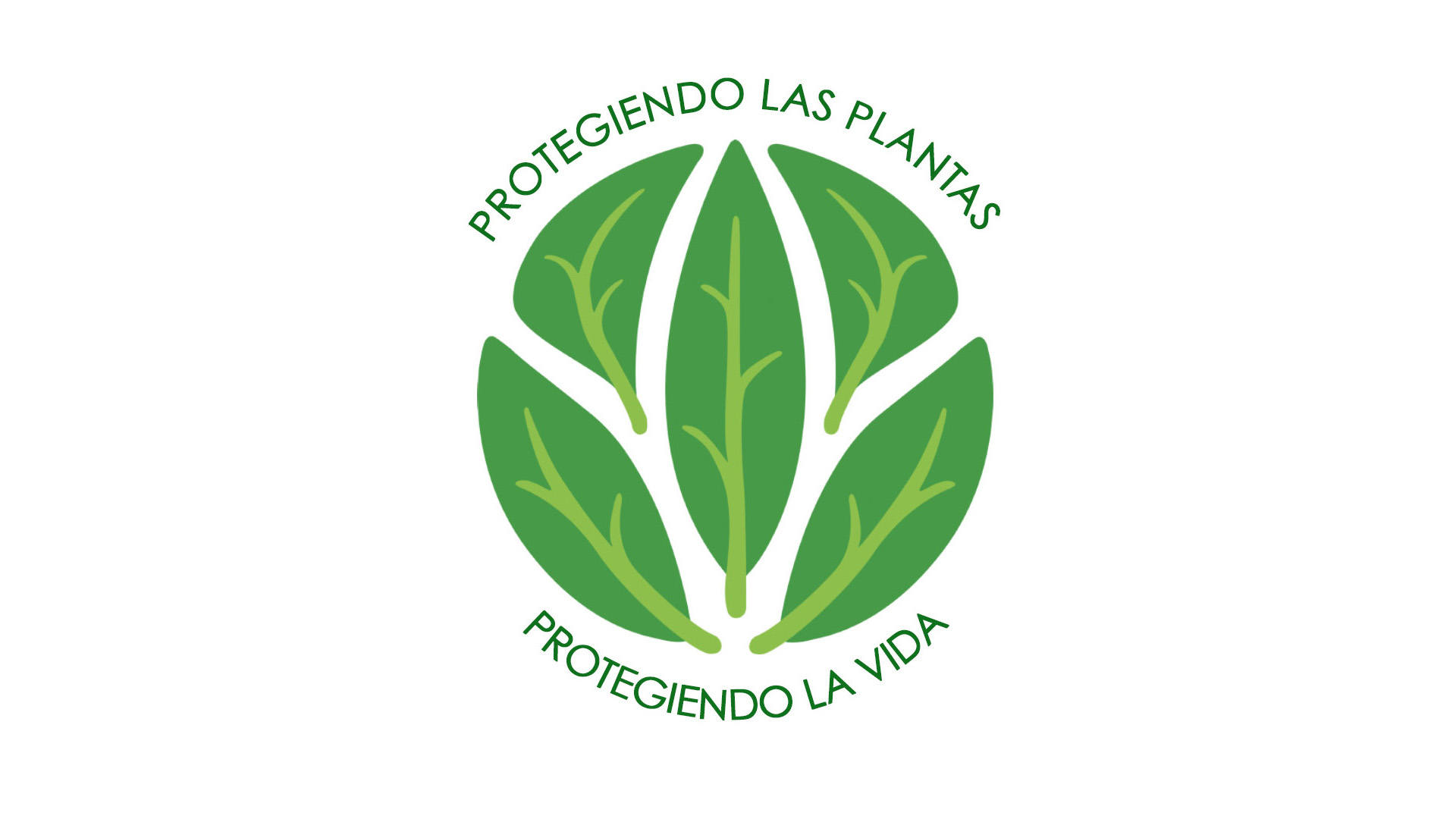 Dia Internacional De La Sanidad Vegetal Oirsa