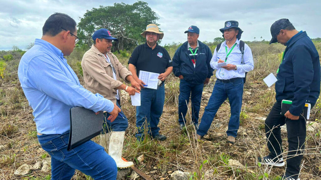 México: desarrollan jornada sobre manejo de emergencias ante posibles brotes de langosta centroamericana en Yucatán